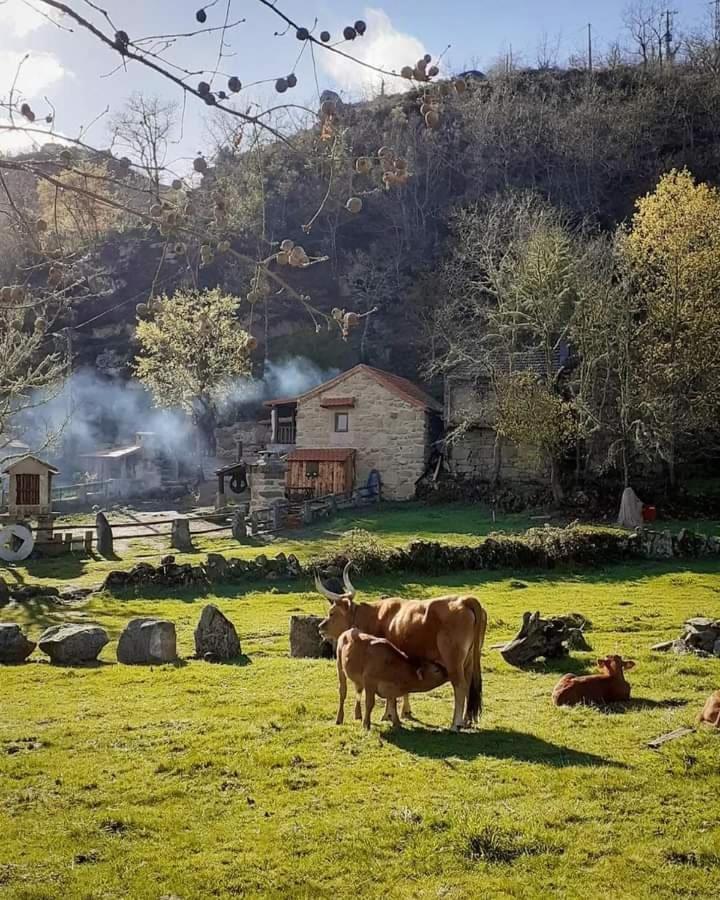 Aldeia De Pontes - Castro Laboreiro Exterior photo